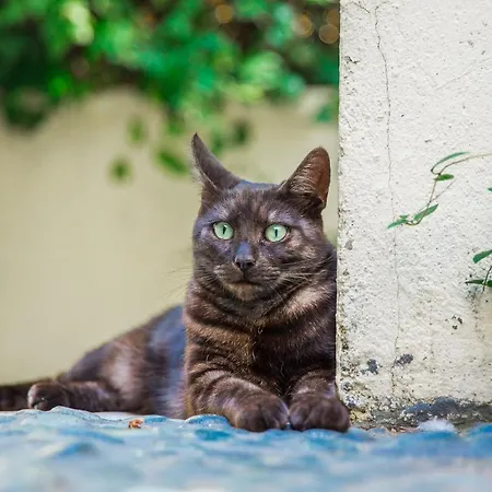 La Maison Charmante 3*