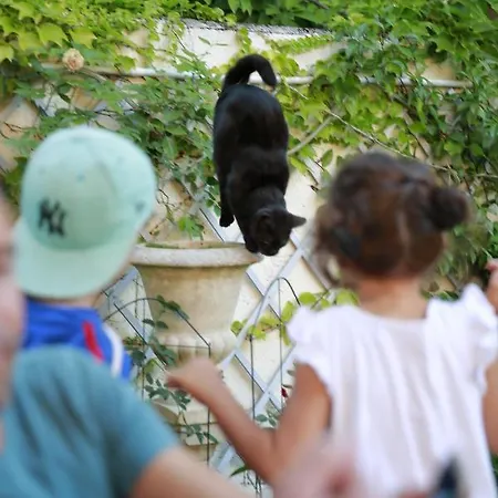 Frühstückspension La Maison Charmante Châtellerault