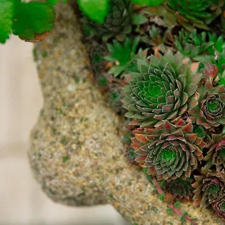 La Maison Charmante Frühstückspension