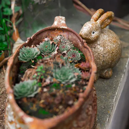 Frühstückspension La Maison Charmante