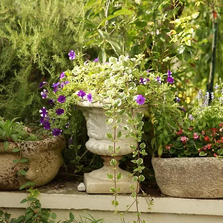 Frühstückspension La Maison Charmante 3*