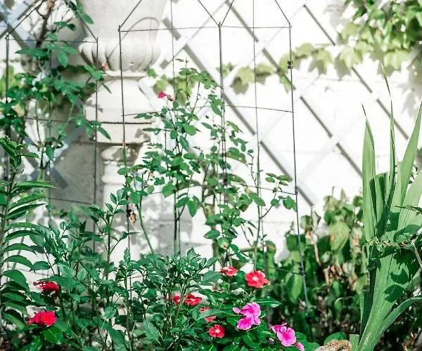 La Maison Charmante Bed & Breakfast