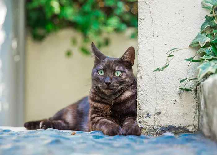 La Maison Charmante 3*