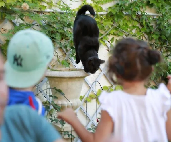 Bed & Breakfast La Maison Charmante Chatellerault