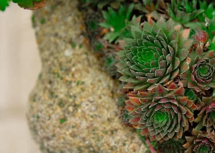 La Maison Charmante Bed & Breakfast