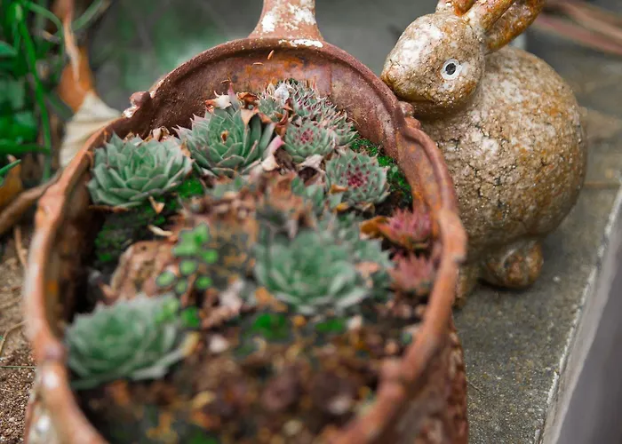 Bed & Breakfast La Maison Charmante