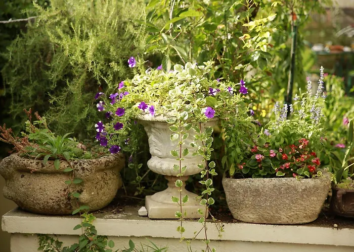 Bed & Breakfast La Maison Charmante 3*