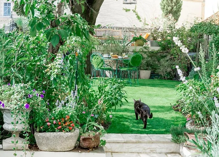 Bed & Breakfast La Maison Charmante